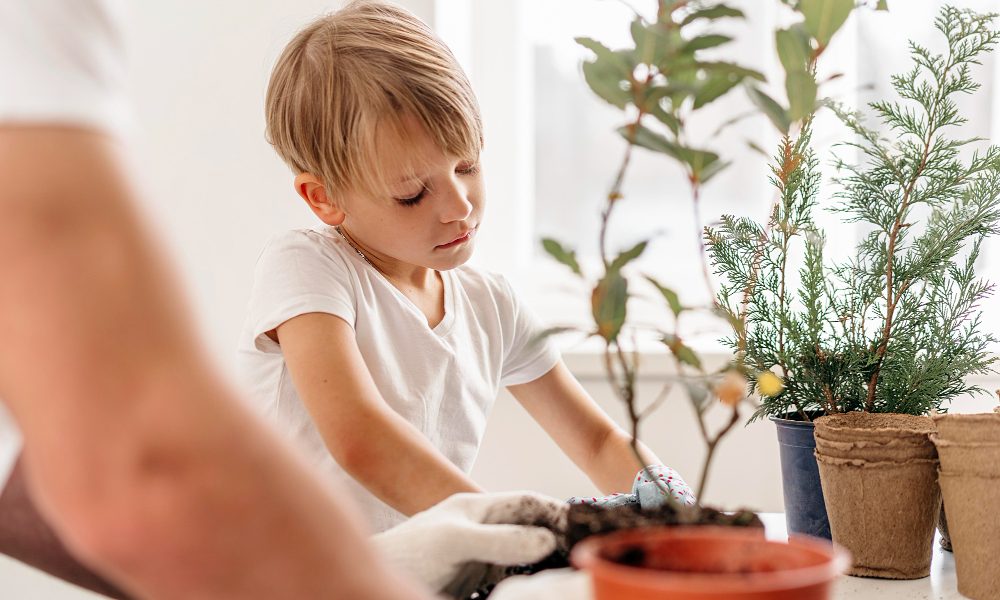 ojciec i syn wspólnie dbają o rośliny