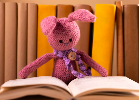 pluszowy miś czyta książkę